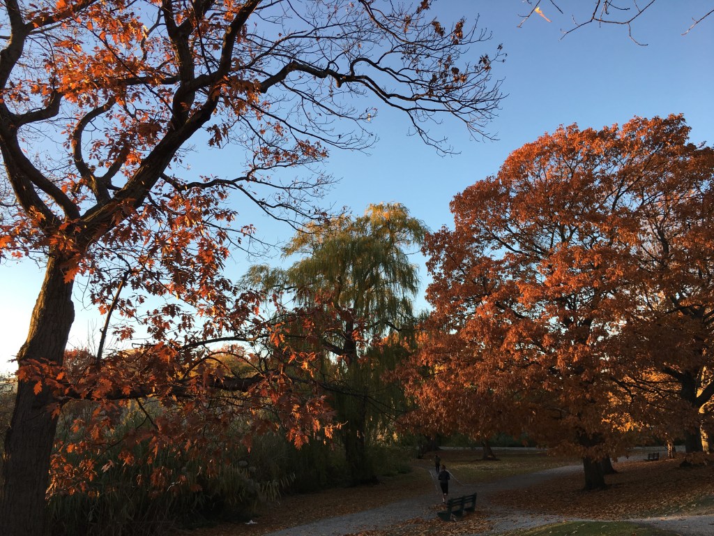 trial2rev: seeing the forest for the trees in the systematic review ecosystem